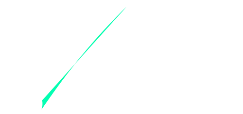 RONIN